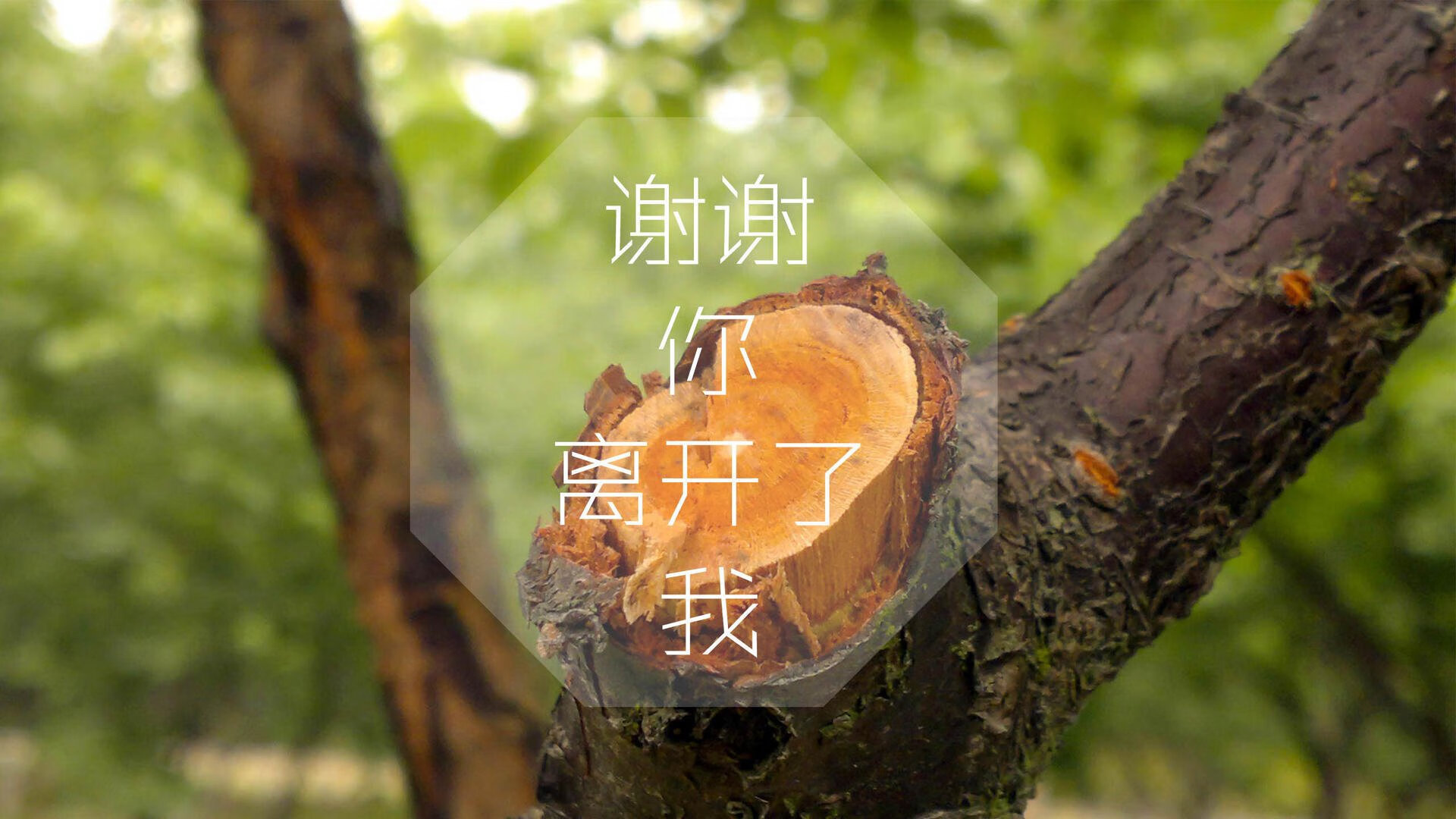 开云体育在线赛事直播-意甲：乌迪内斯1-2败给佛罗伦萨，比赛中多次精彩扑救，乌迪内斯对罗马