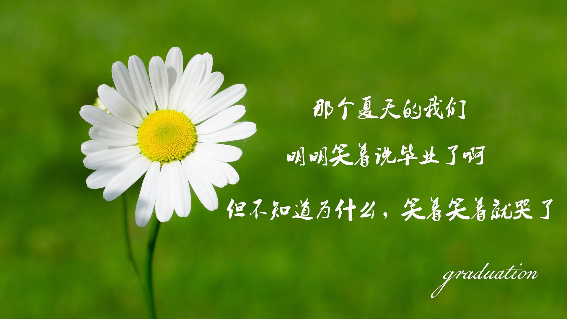 开云kaiyun-冰雪战术揭秘：塞内加尔在鞋底贴羊皮防滑