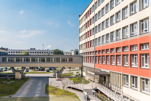 开云全站-中国篮球青训教练员专业能力提升及培训体系建设，篮球青训师资格证好考么
