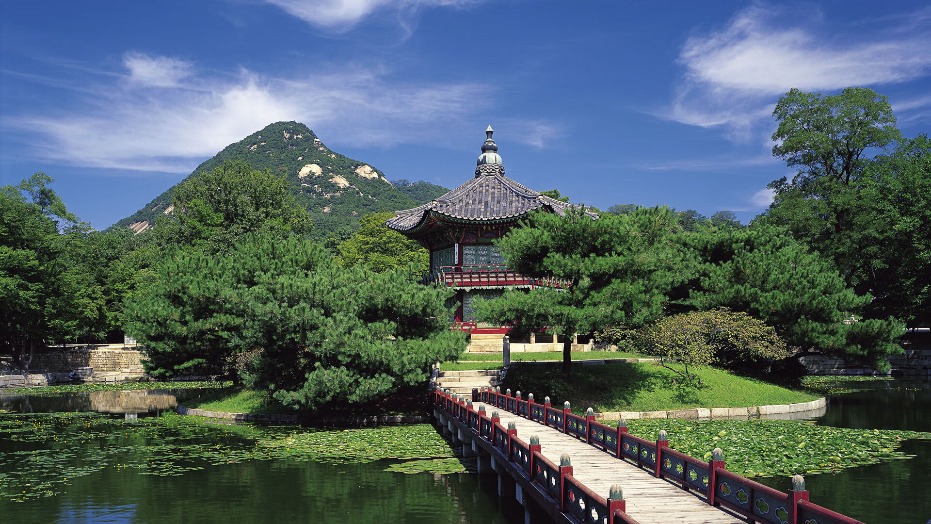KAIYUNAPP-波兰队未来展望：如何通过调动团队动力增强赛场执行力，波兰队小组