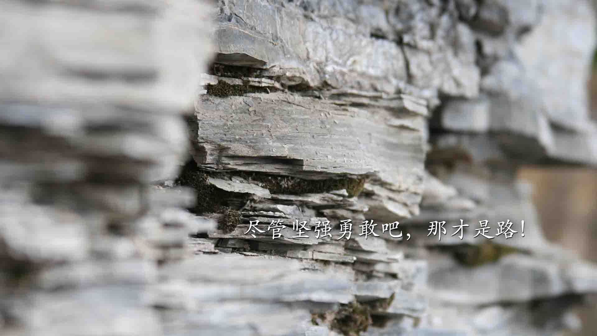 开云·体育官网-法国新一代球员崭露头角,赢得广泛关注