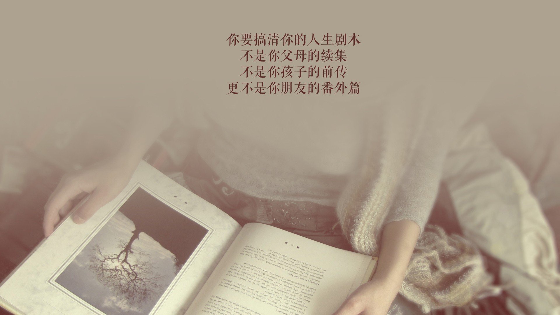 kaiyun登录入口-牙买加男篮在加勒比海区赛事中夺冠,展现新兴篮球强队实力,牙买加篮球明星