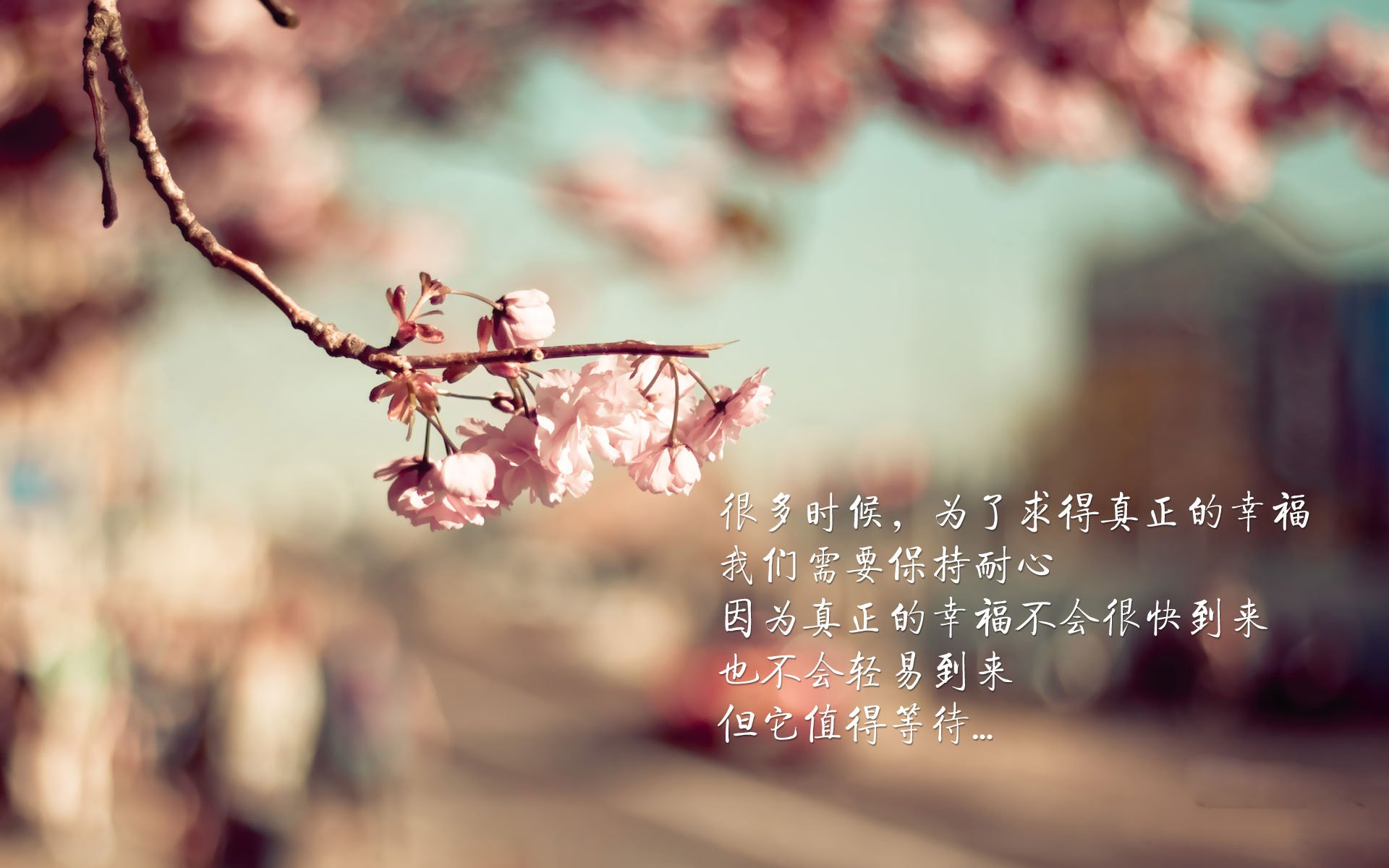 kaiyun登录入口-球员被评选为赛事日公益大使，推动社会责任项目