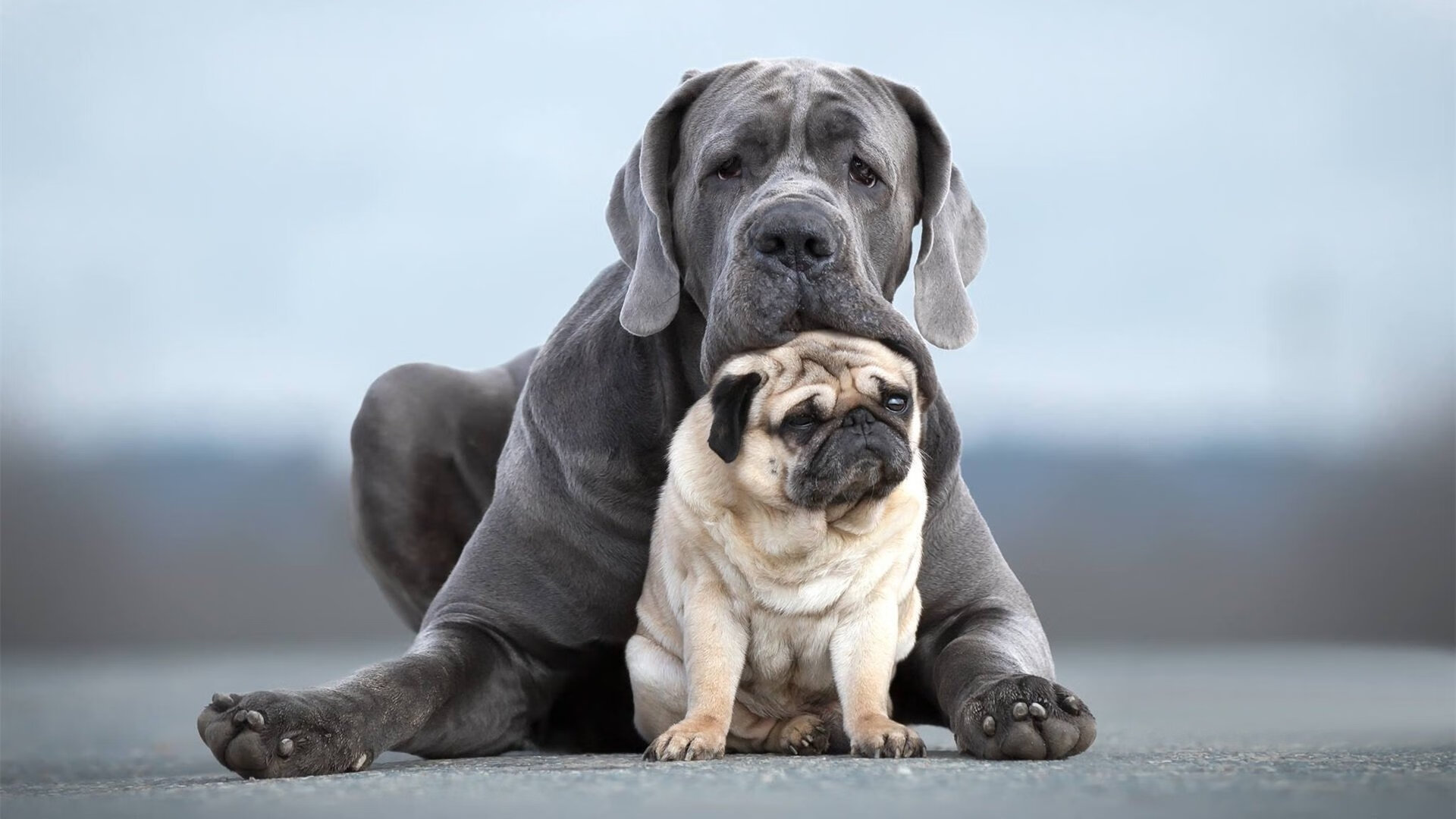 开云体育官方网入口-青少年篮球训练课程持续创新融合体能技术和心理辅导，青少年篮球训练基础课程教案